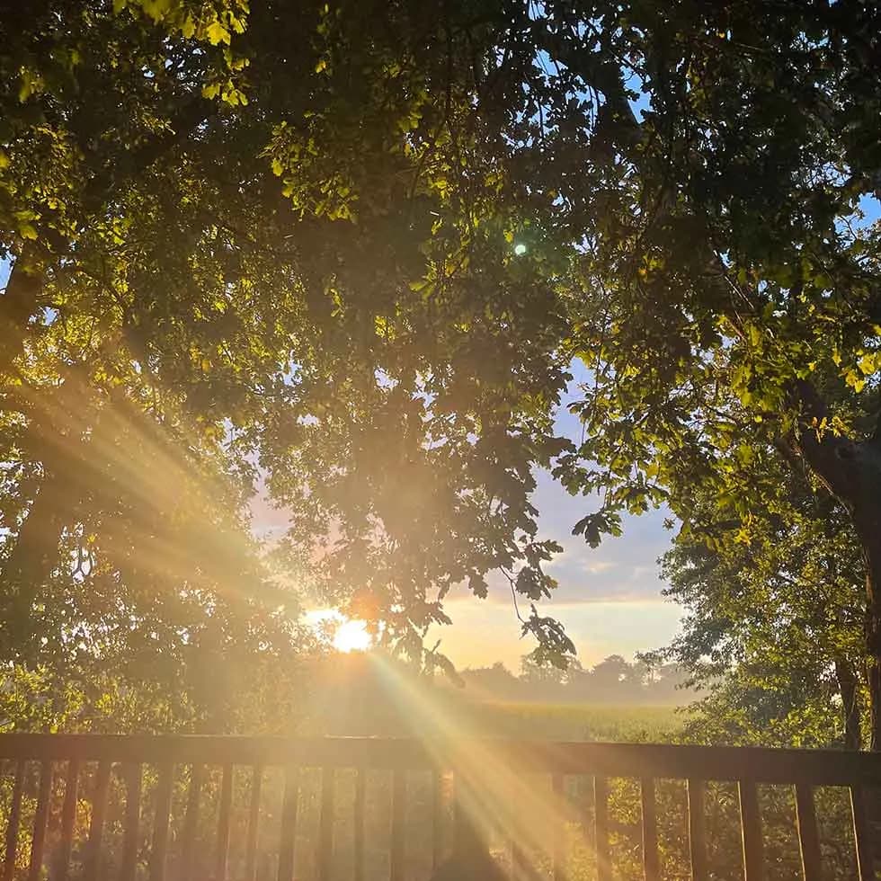 Natural Surf Lodge 9