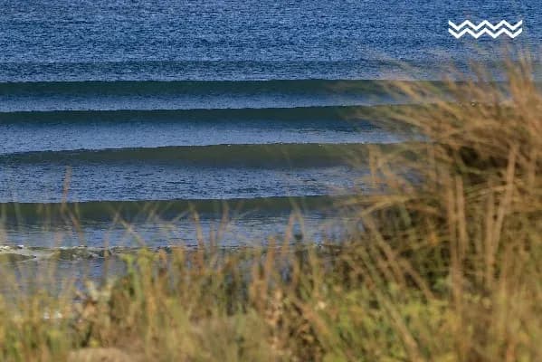 Summersurf Surf & Yoga Camp 3