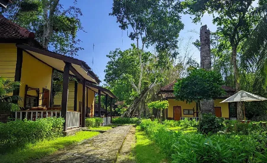 Bobby's G-Land Surf Camp 5