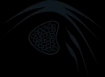 Tavarua Island Resort 2