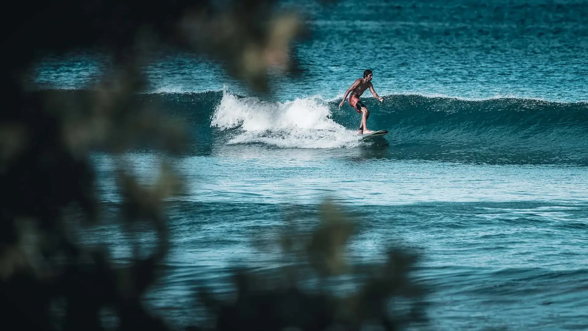 Rapture Surf Camp Playa Avellanas 6