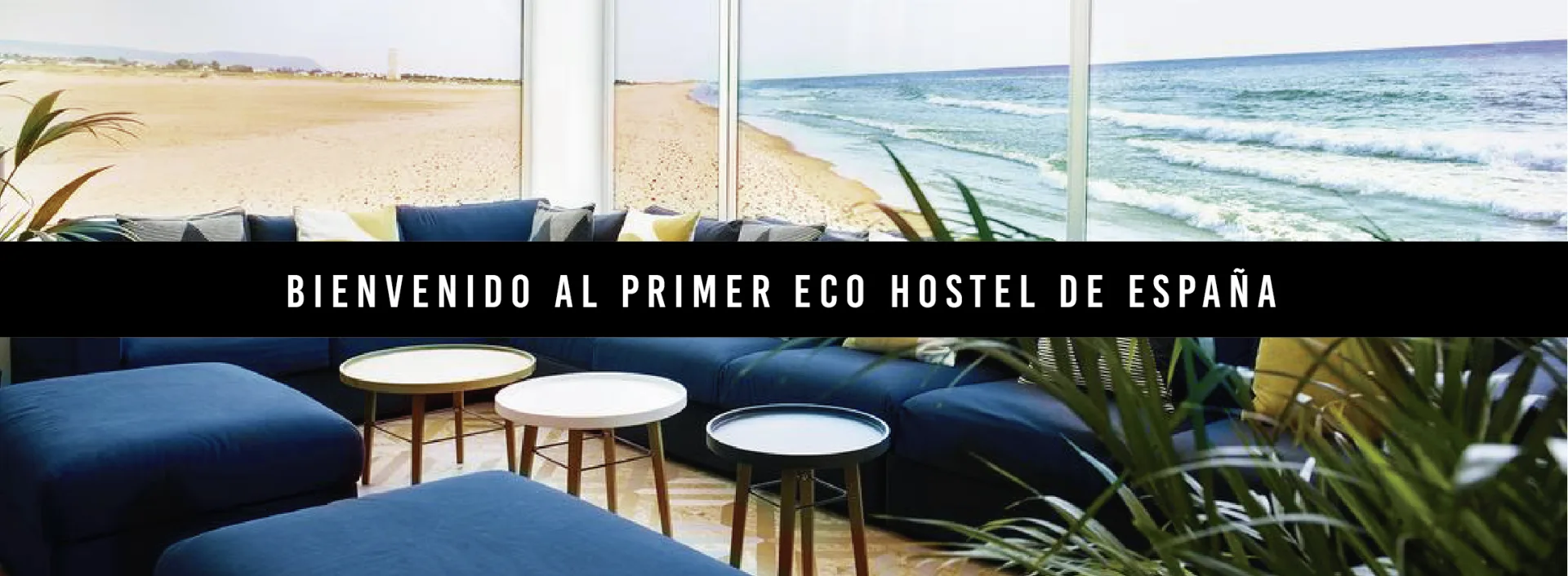 Surf Club El Palmar 1