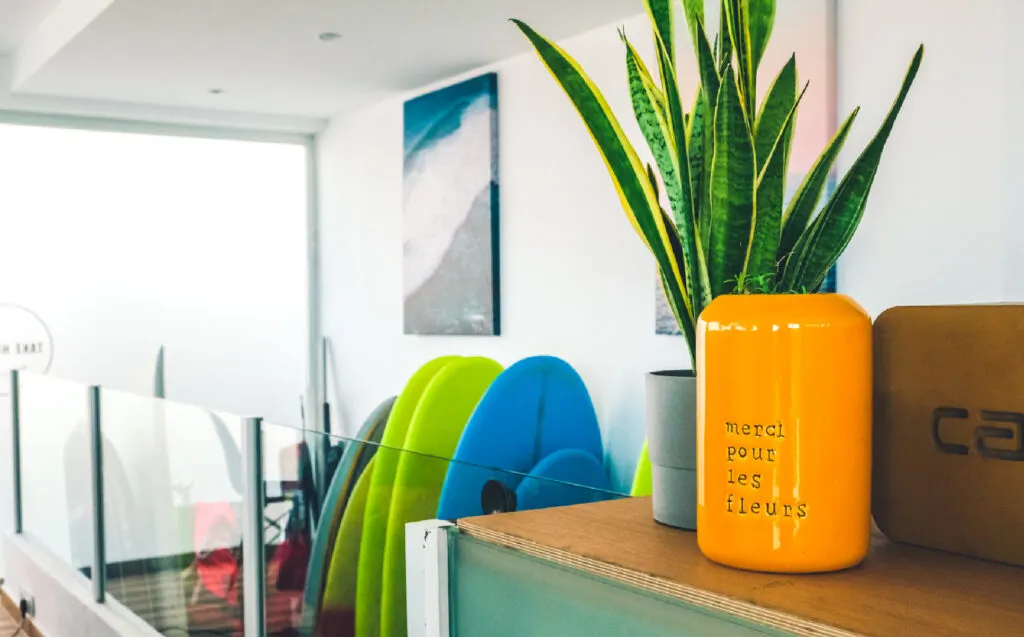 Surf Club El Palmar 8