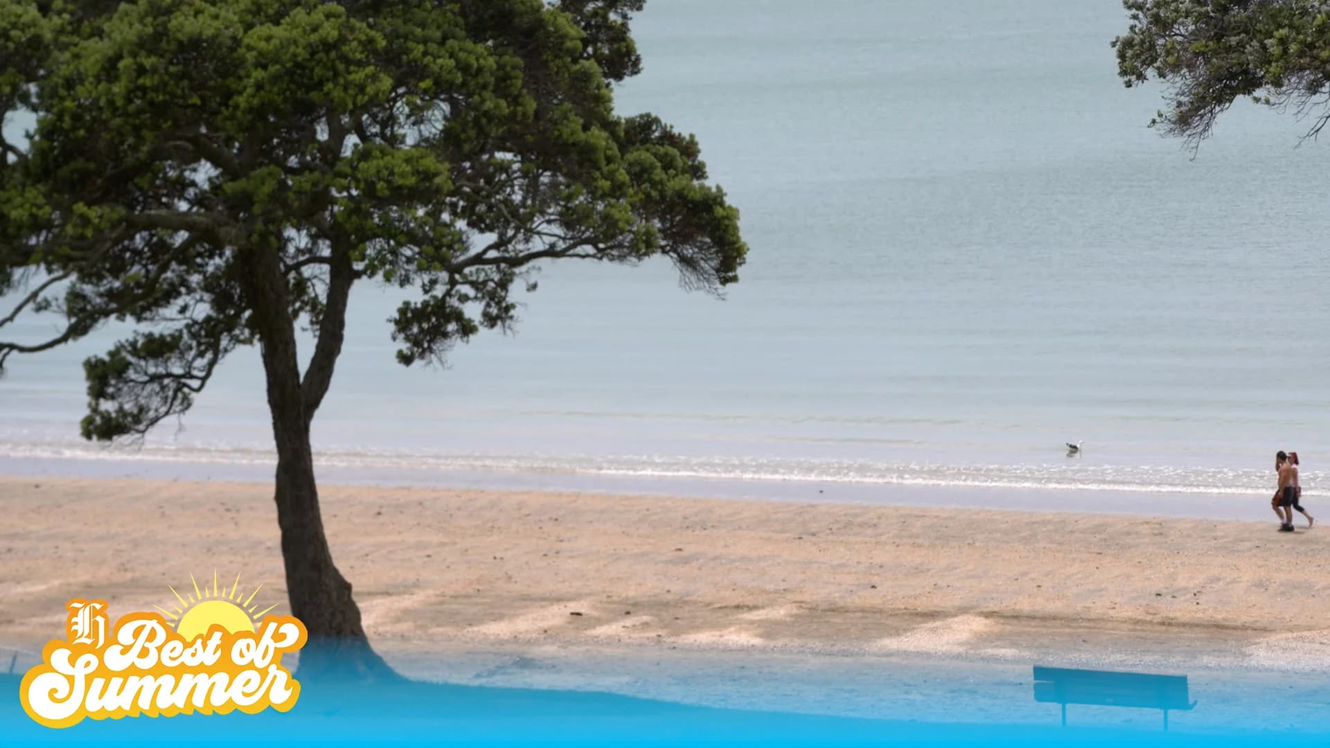 Ultimate Kids Surf Camp 3