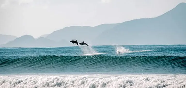 Ultimate Kids Surf Camp 2