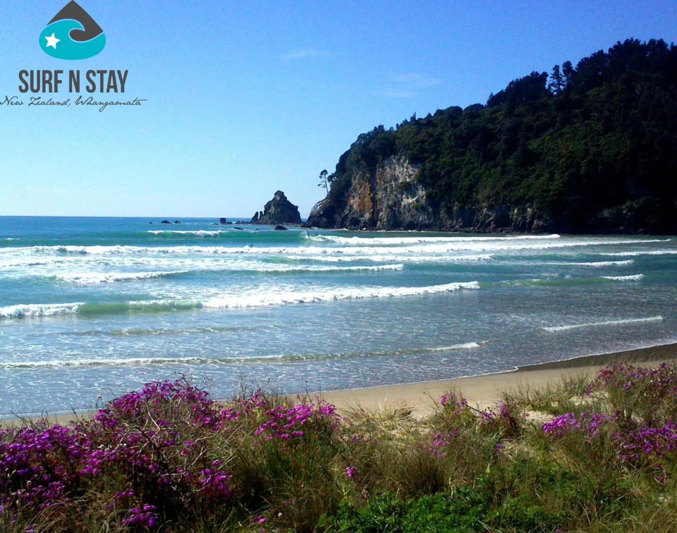 Surf n Stay Whangamata 1