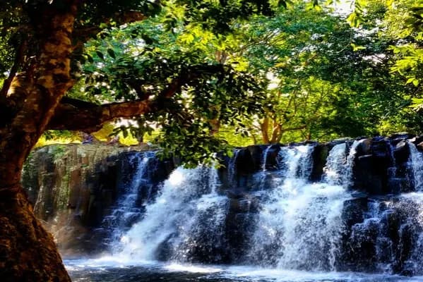 Mauritius Surf Holidays 7