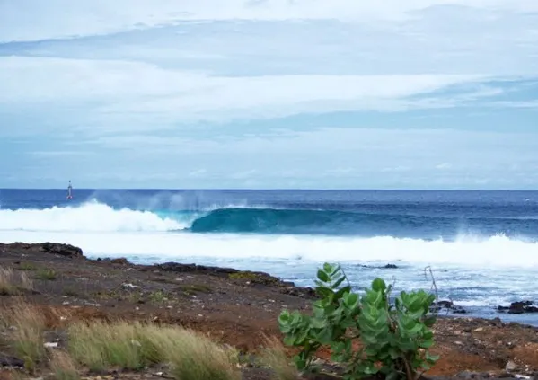 Sal Surf Camp & School 1