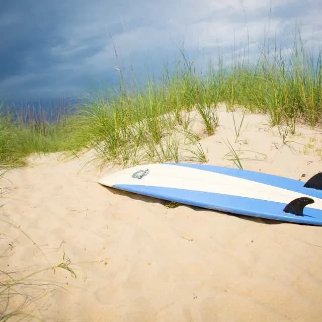 Surf & Soil Adventure Surf Camp 4