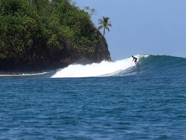 Surfer Paradise Surf Camp