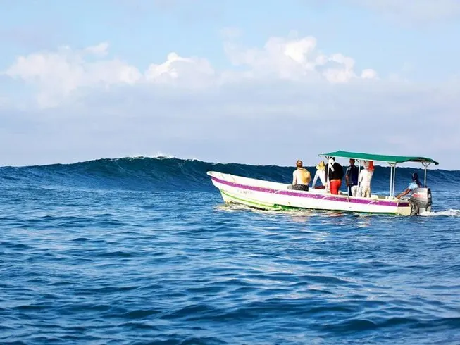 Surfer Paradise Surf Camp 4