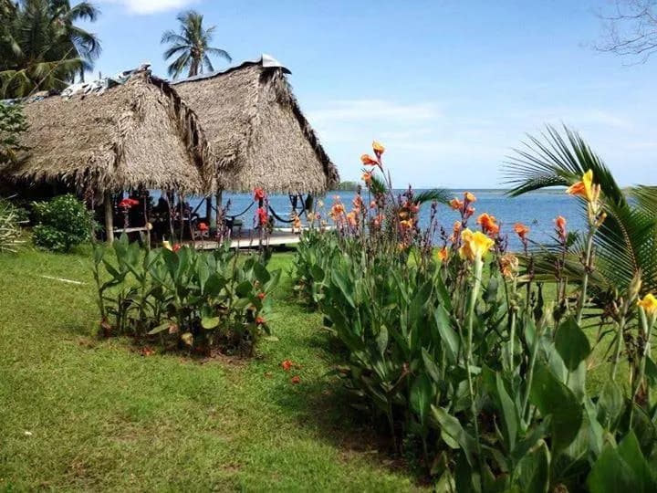 Surfer Paradise Surf Camp 5