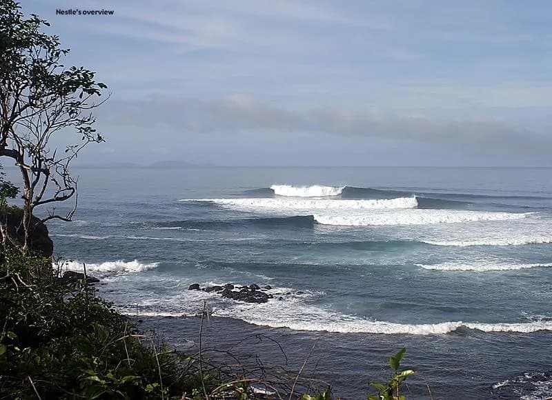 Surfer Paradise Surf Camp 7