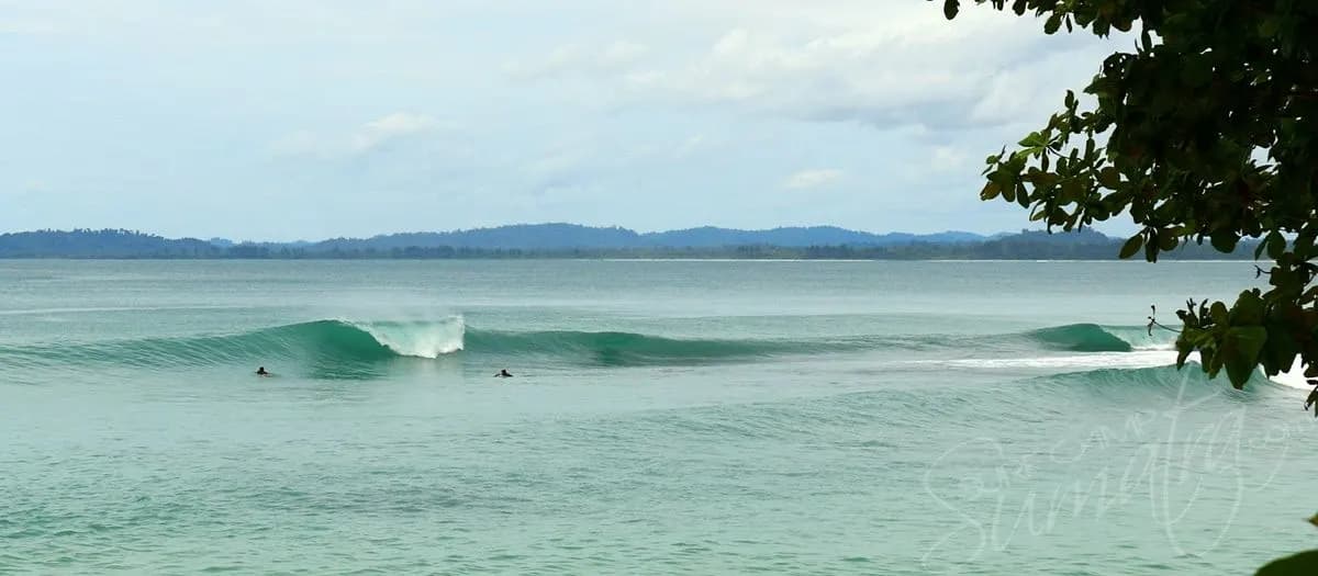 Playground Surf Resort 6