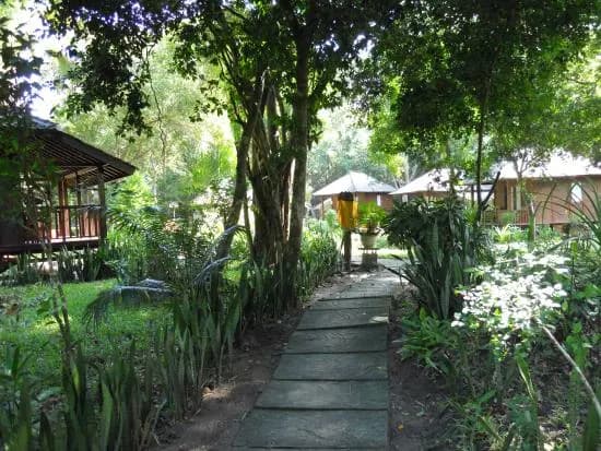 Bobby's G-Land Surf Camp 4