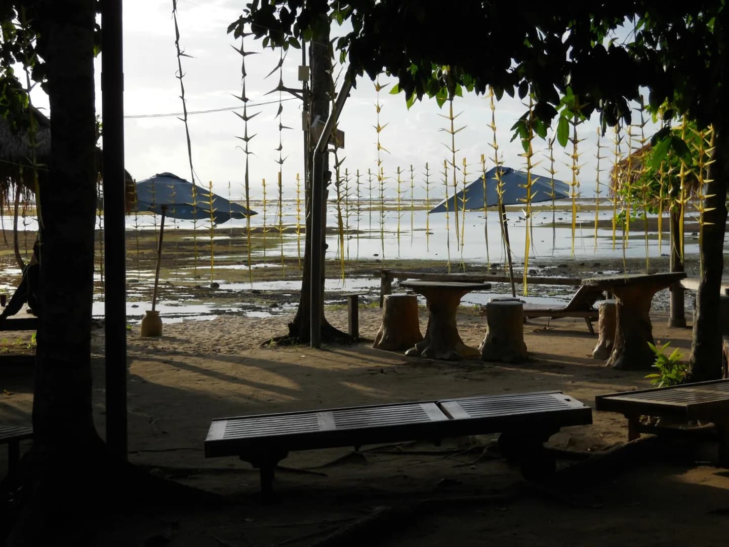 Bobby's G-Land Surf Camp 8