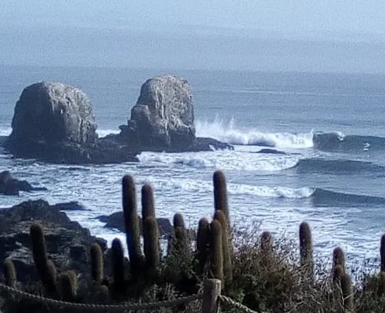 Punta de Lobos Surfcamp 6