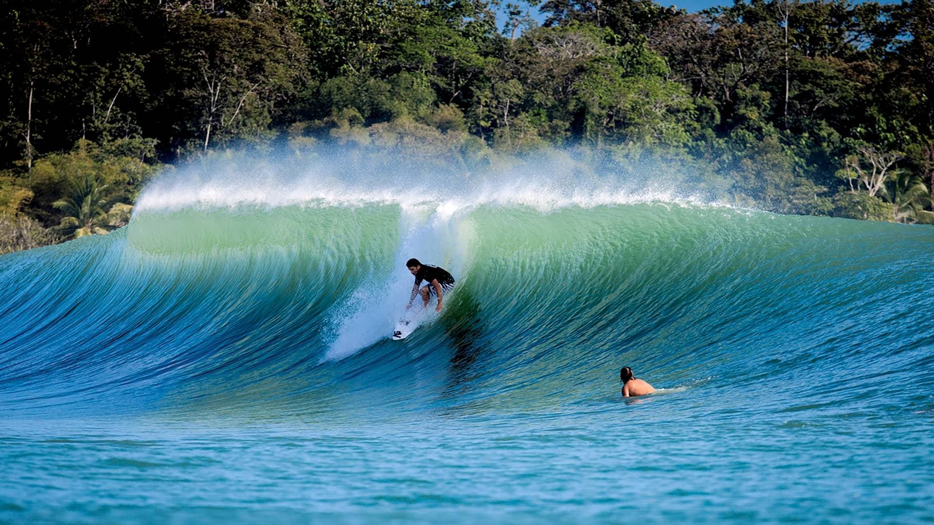 Surfer Paradise Surf Camp 2