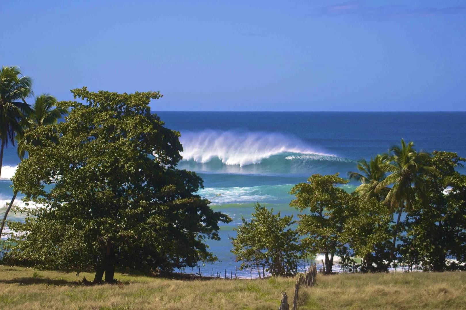 Surf 787 Villa & Surf School 4