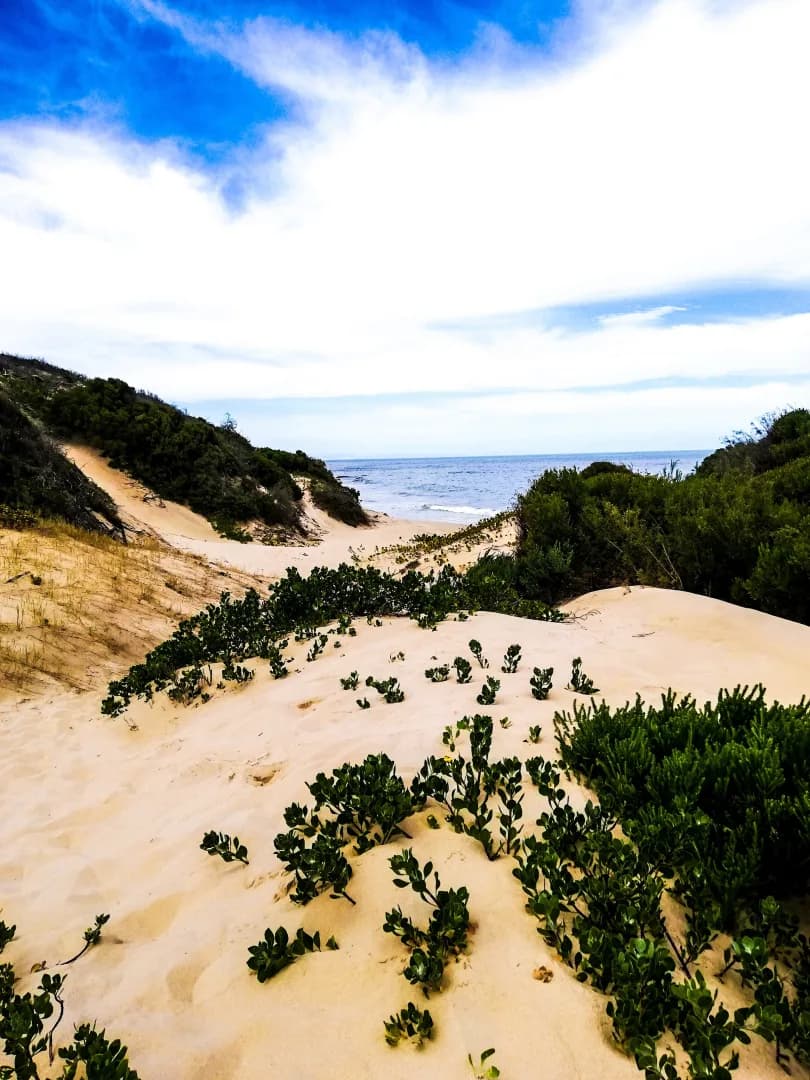 Surf Lodge South Africa 3