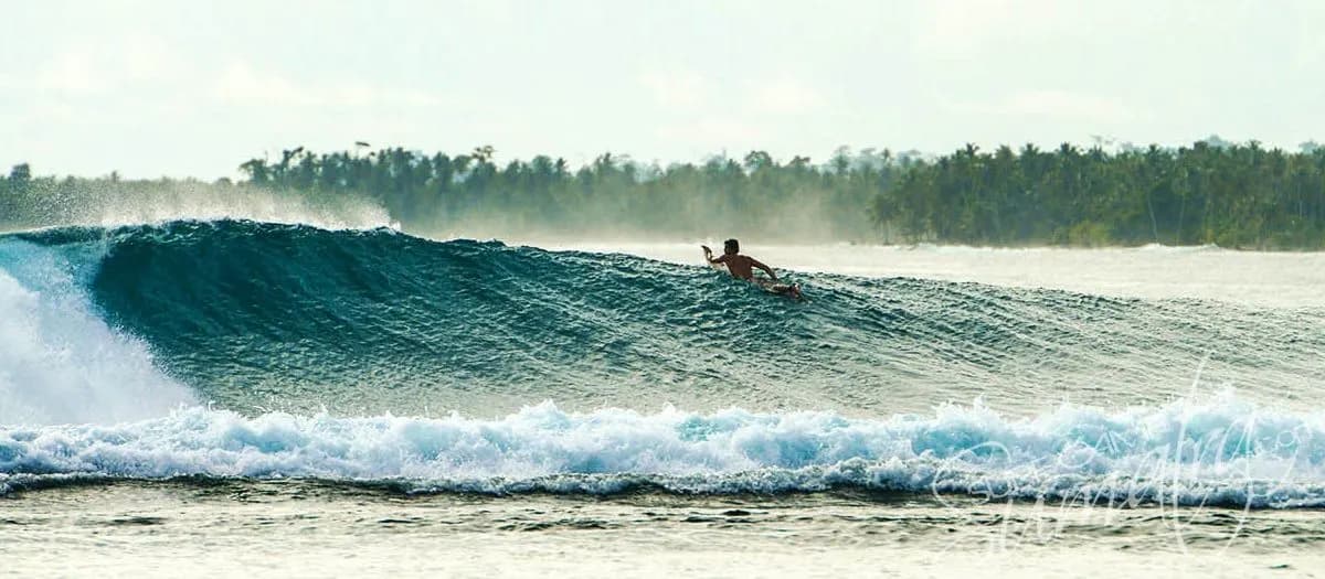 Kingfisher Surf Resort 4